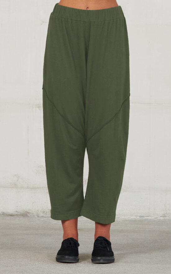 Cactus Trousers product photo.